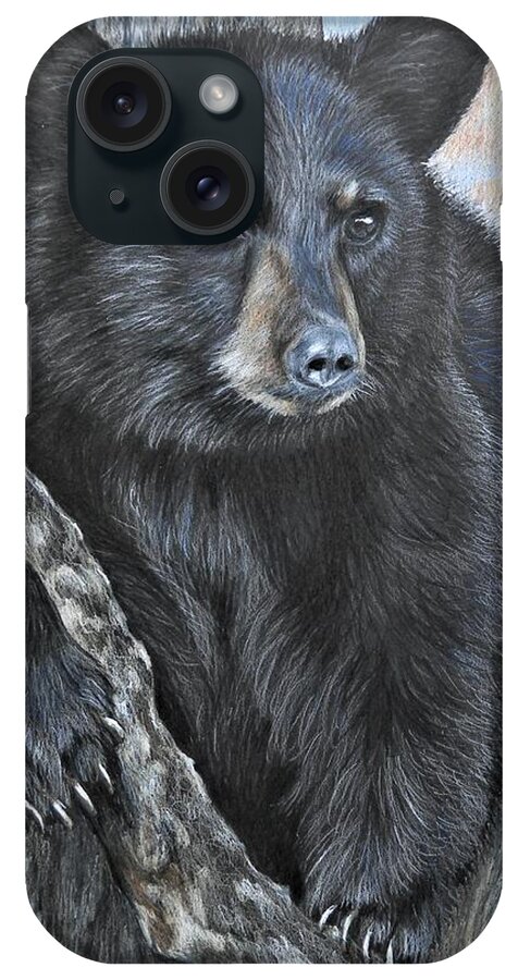 Bear iPhone Case featuring the drawing Backyard Visitor by Carla Kurt