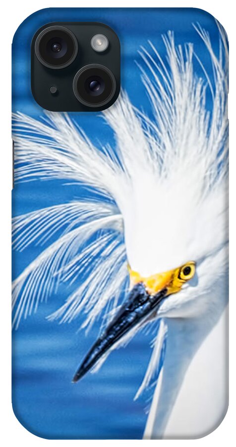 Egret iPhone Case featuring the photograph Bad Hair Day by Joe Granita