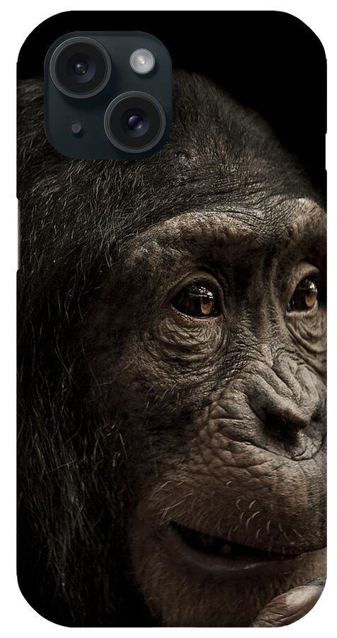 Chimpanzee iPhone Case featuring the photograph Baffled by Paul Neville