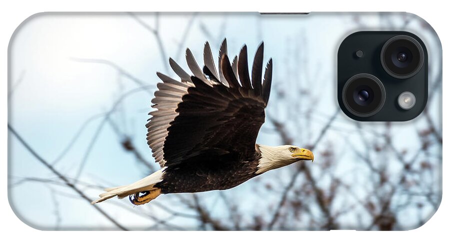Usa iPhone Case featuring the photograph Bald Eagle Flight by Patrick Wolf