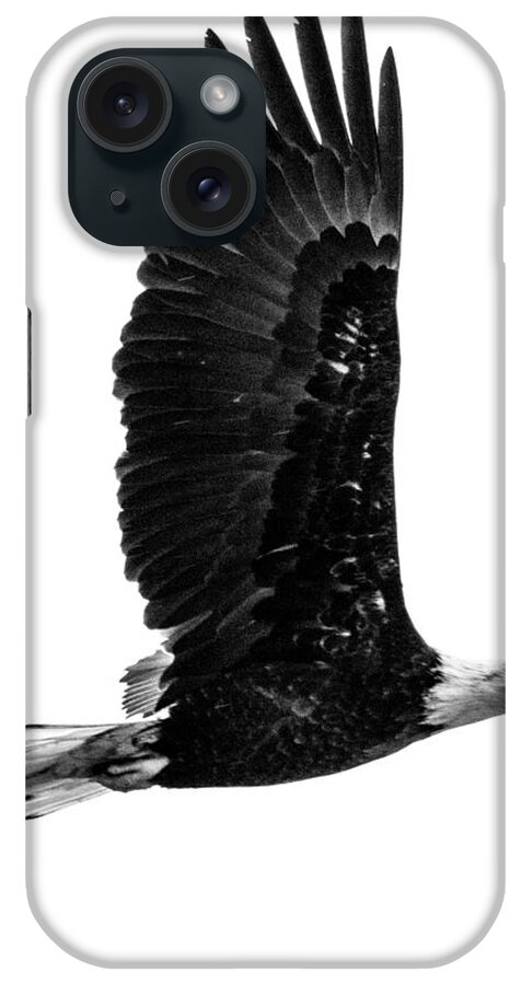 Bald Eagle iPhone Case featuring the photograph Bald Eagle by Jedediah Hohf
