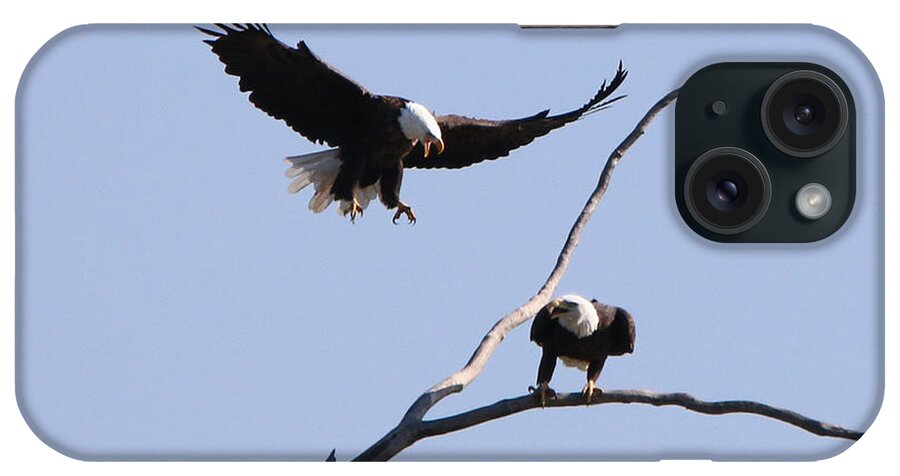 Bald Eagles iPhone Case featuring the photograph Bald Eagles 1274 by Jack Schultz