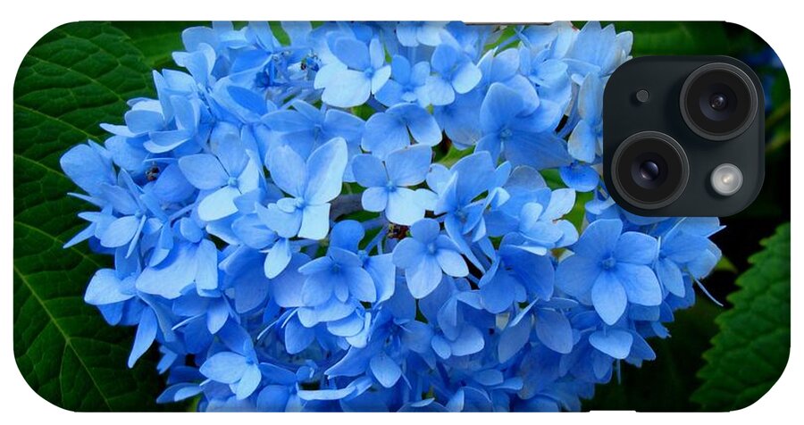 Hydrangea iPhone Case featuring the photograph Ball of Blue by Michiale Schneider