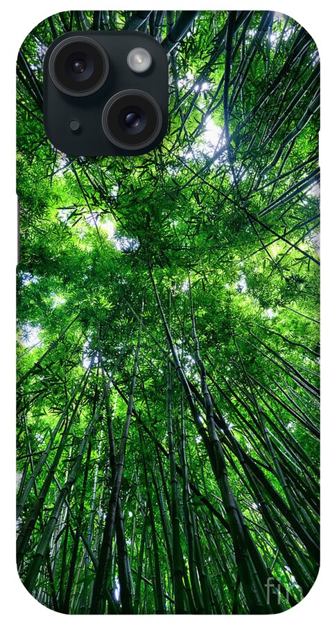 Bamboo iPhone Case featuring the photograph Bamboo Forest by Eddie Yerkish