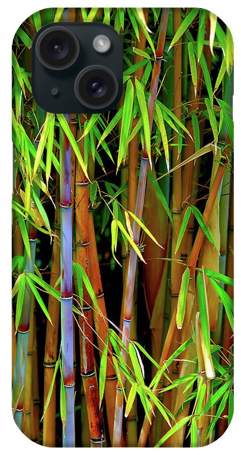 Bamboo iPhone Case featuring the photograph Bamboo by Harry Spitz