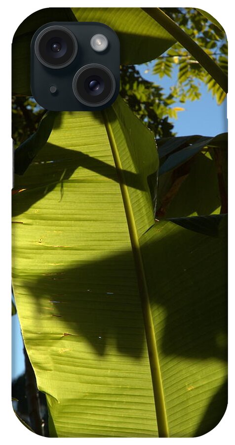 Tree iPhone Case featuring the photograph Banana Leaf by Kathi Shotwell