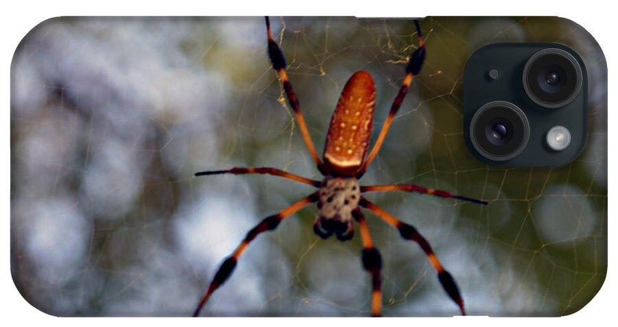Arachnid iPhone Case featuring the photograph Banana Spider 2 by Bob Johnson