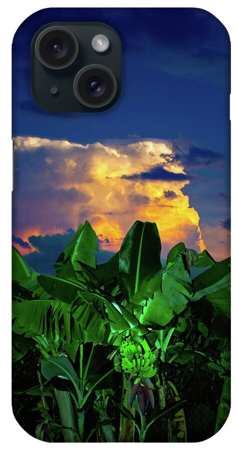 Banana Trees iPhone Case featuring the photograph Banana Sunset by Mark Andrew Thomas