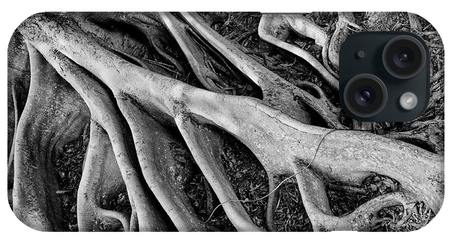 Banyan Tree iPhone Case featuring the photograph Banyan Roots by Mick Burkey