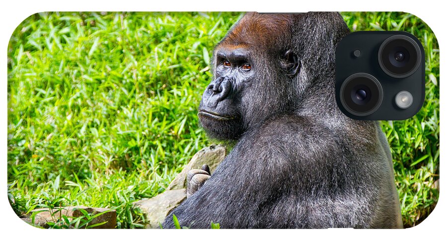 Baraka iPhone Case featuring the photograph Baraka - Western Lowalnd Silverback Gorilla by SR Green