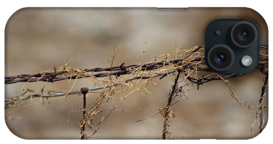 Golden iPhone Case featuring the photograph Barbed Wire Entwined with Dried Vine in Autumn by Colleen Cornelius