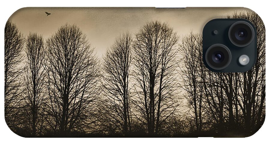 Trees iPhone Case featuring the photograph Bare Bones by Robin-Lee Vieira