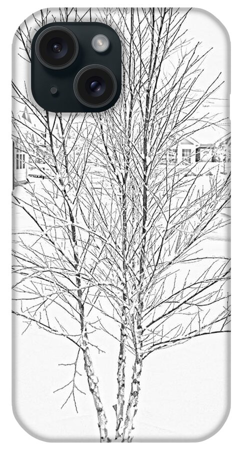 Bare iPhone Case featuring the photograph Bare Naked Tree by Roberta Byram
