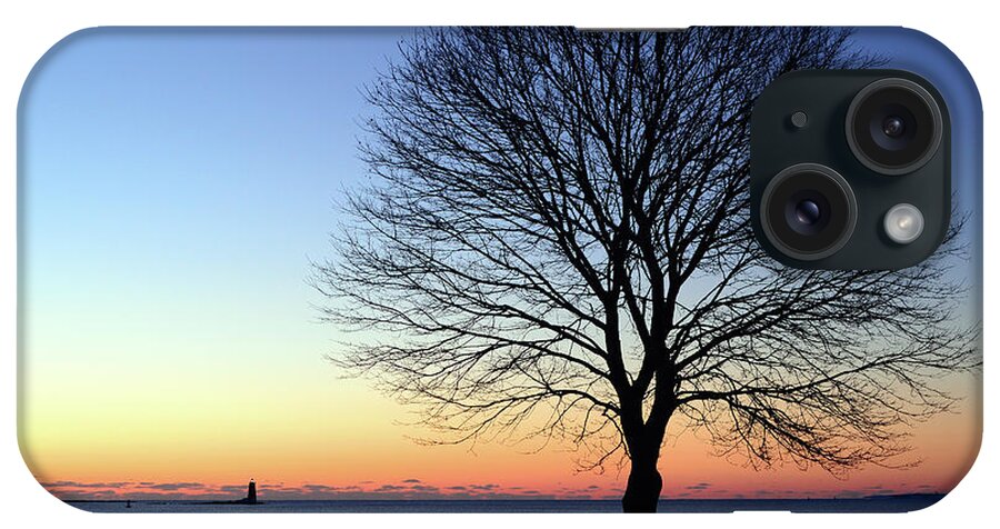 Great iPhone Case featuring the photograph Bare Tree at Sunrise by James Kirkikis