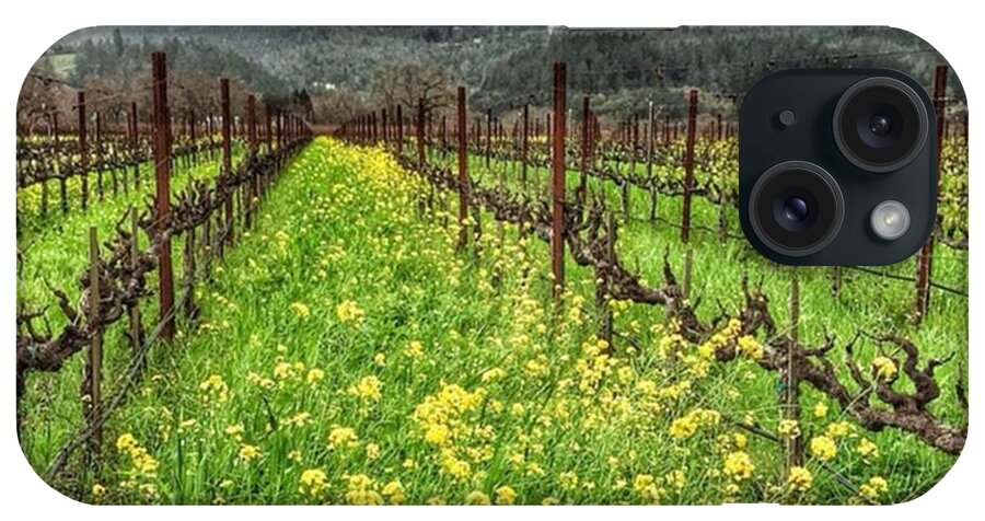 California iPhone Case featuring the photograph Napa by Nancy Ingersoll