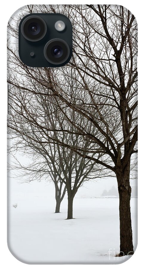 Winter iPhone Case featuring the photograph Bare Winter Trees by Sharon Foelz