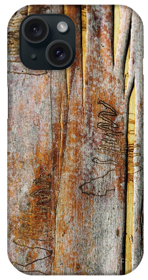 Bark iPhone Case featuring the photograph Bark MK2 by Werner Padarin