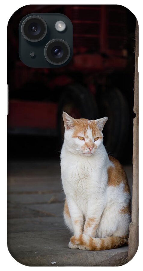Animals iPhone Case featuring the photograph Barn Cat and Tractor by Dennis Dame
