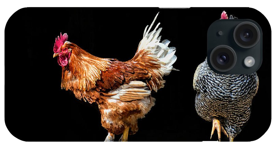 Rooster iPhone Case featuring the photograph Barn Door by Pat Cook