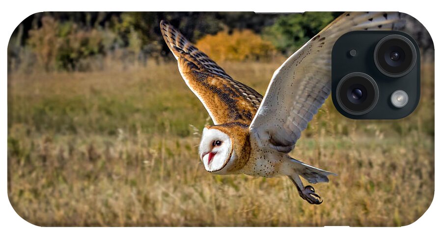 Barn Owl iPhone Case featuring the photograph Barn Owl Flight 6 by Dawn Key