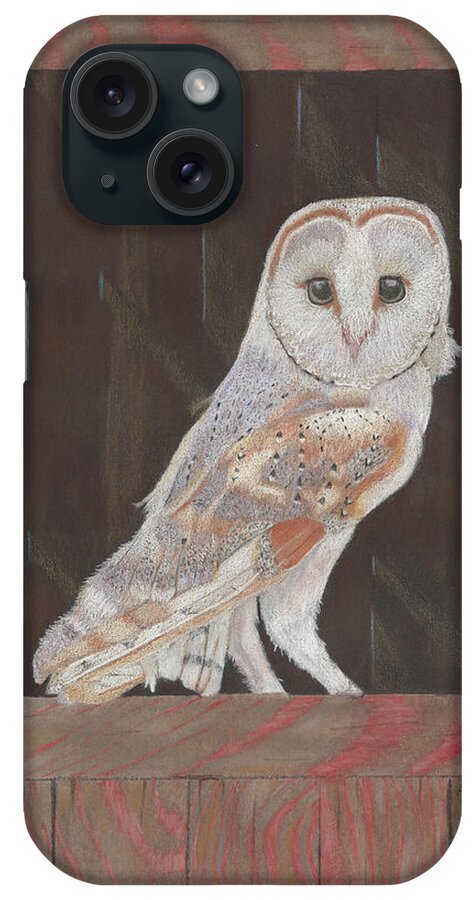 Owl iPhone Case featuring the painting Barn Owl in Residence by Arlene Crafton