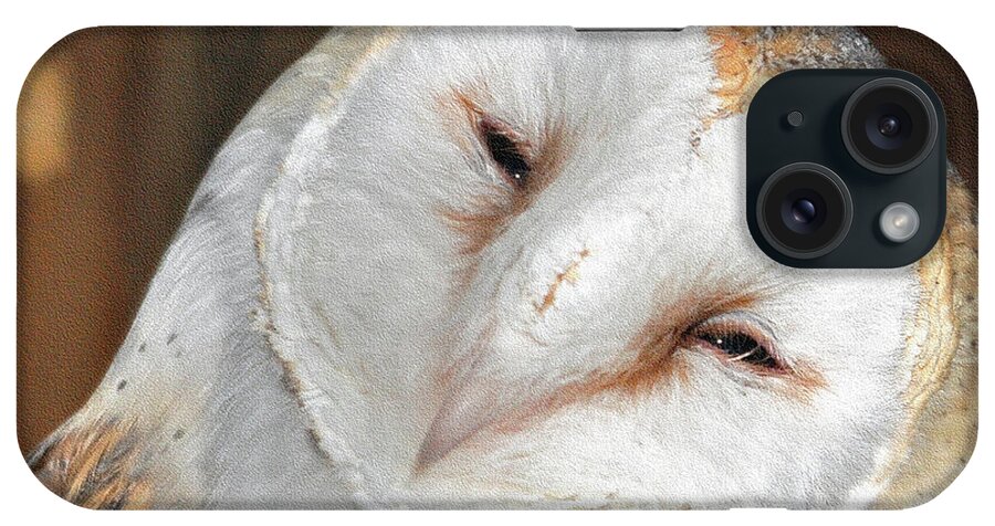 Owl iPhone Case featuring the photograph Barn Owl by Lydia Holly