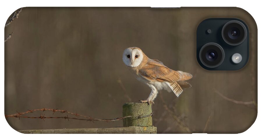 Barn Owl iPhone Case featuring the photograph Barn Owl On Fence by Pete Walkden