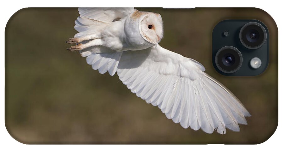 Barn Owl iPhone Case featuring the photograph Barn Owl Wings by Pete Walkden