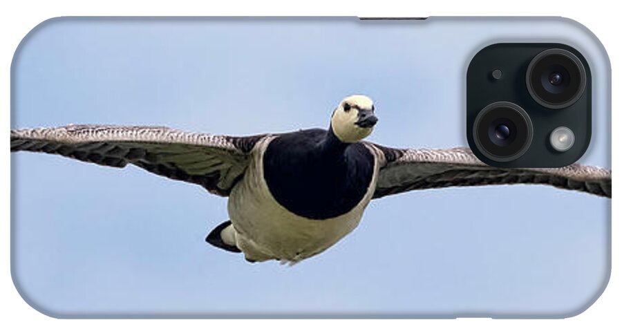 Bird iPhone Case featuring the photograph Barnacle Goose by Nadia Sanowar
