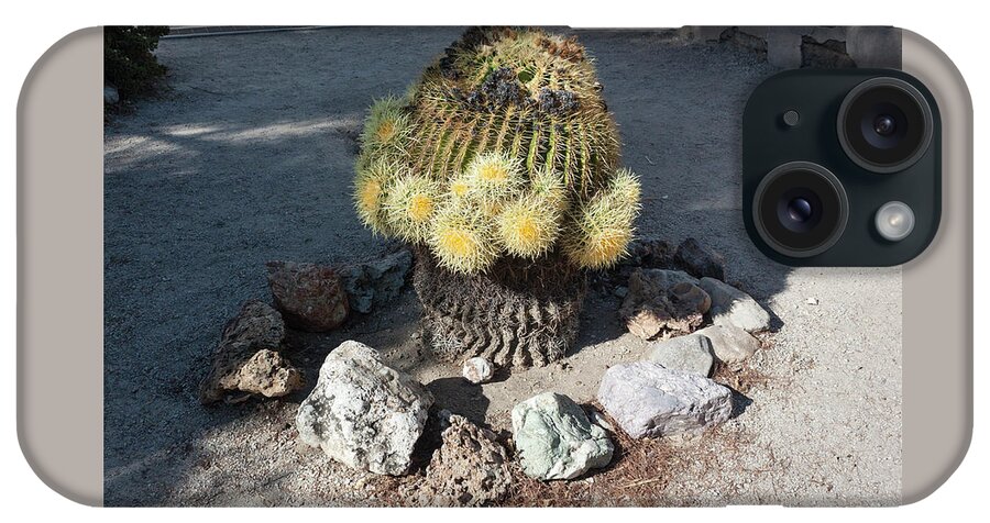Photograph iPhone Case featuring the photograph Barrel Cactus in Bloom by Suzanne Gaff