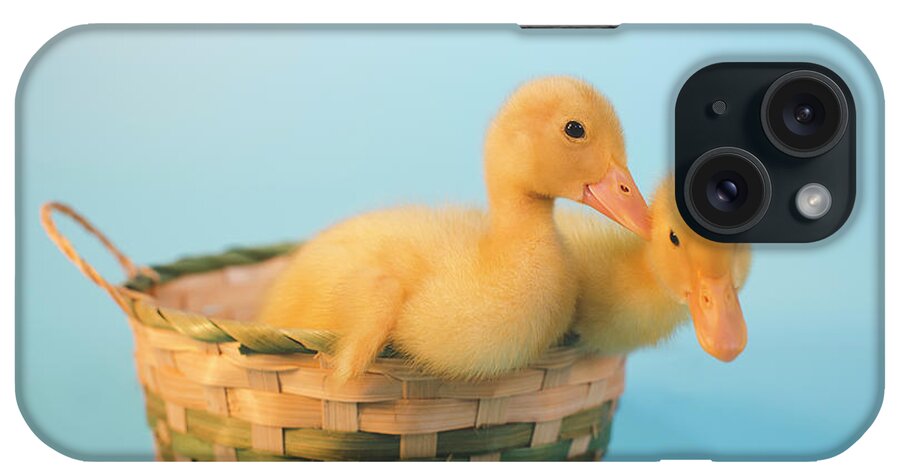 Andrew Pacheco iPhone Case featuring the photograph Basket of Fun by Andrew Pacheco