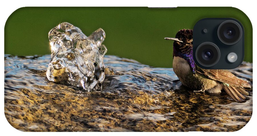Hummingbird iPhone Case featuring the photograph Bathtime by Sandra Selle Rodriguez