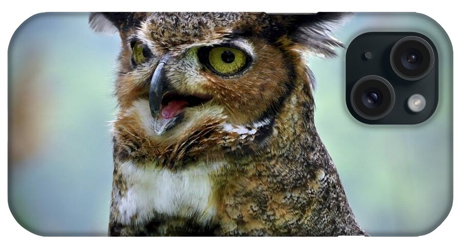#great Horned Owl iPhone Case featuring the photograph Baxter by Cornelia DeDona