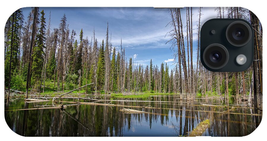 British Columbia iPhone Case featuring the photograph BC Forest Lake by Ryan Heffron