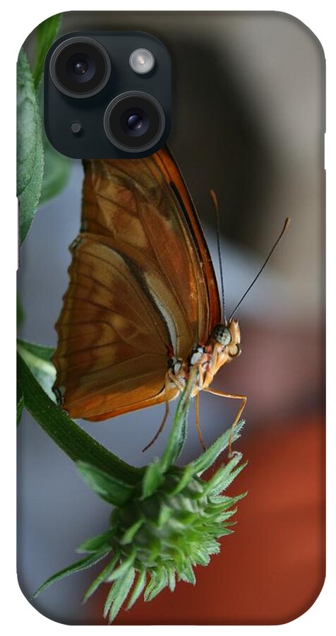 Butterfly iPhone Case featuring the photograph Be Happy by Cathy Harper