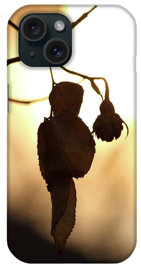 Be Still My Soul iPhone Case featuring the photograph Be Still My Soul by The Art Of Marilyn Ridoutt-Greene