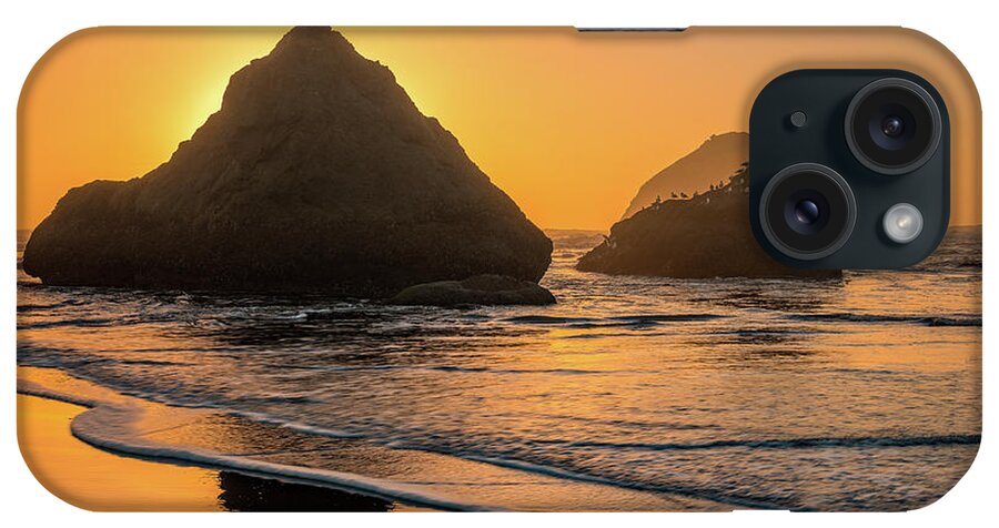 Beach iPhone Case featuring the photograph Be your own bird by Darren White