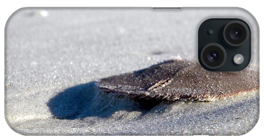 Paradise iPhone Case featuring the photograph Beach Money by Sean Allen