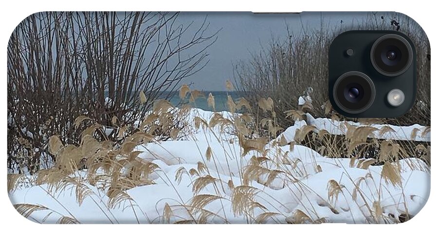 Snow iPhone Case featuring the photograph Beachgrass by Deb Kimmett