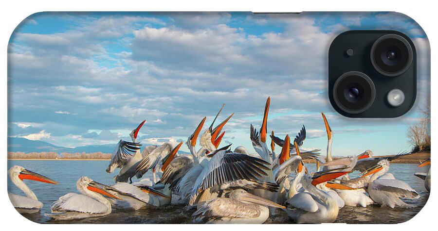 Animal iPhone Case featuring the photograph Beaks by Jivko Nakev