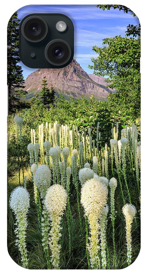 Bear Grass iPhone Case featuring the photograph Bear Grass at Two Medicine by Jack Bell