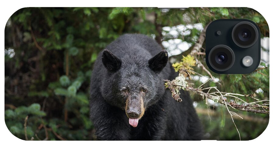 Black Bear iPhone Case featuring the photograph Bear Tongue by David Kirby