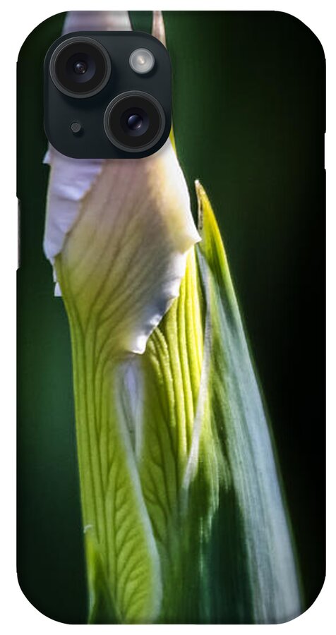 Flower iPhone Case featuring the photograph Bearded Iris Bud by Albert Seger