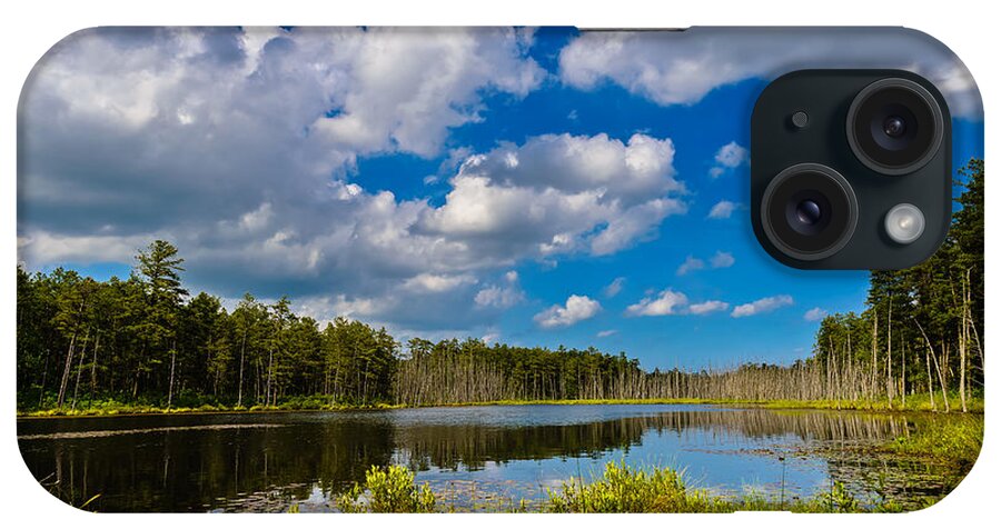 Landscape iPhone Case featuring the photograph Beautiful Afternoon in the Pine Lands by Louis Dallara