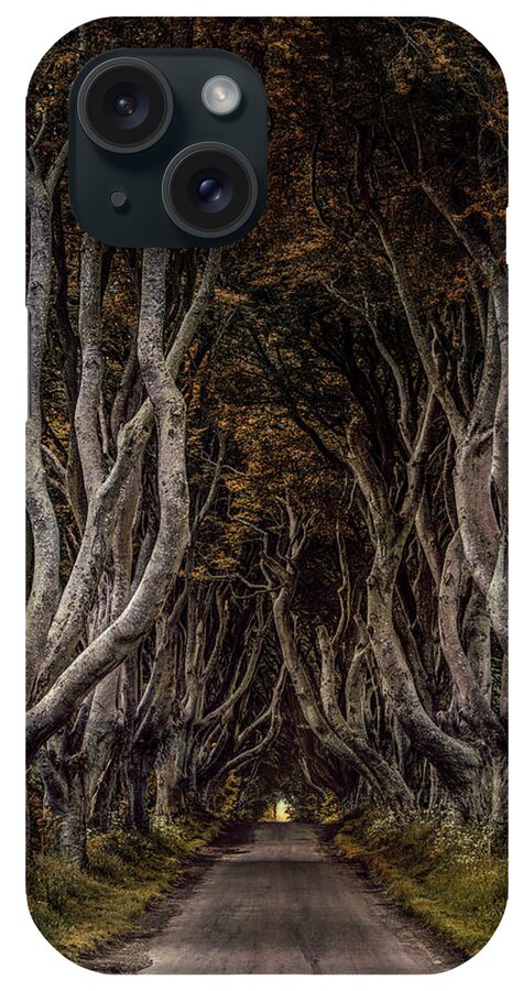 Dark Hedges In Northern Ireland iPhone Case featuring the photograph Beautiful beech alley in northern Ireland by Jaroslaw Blaminsky