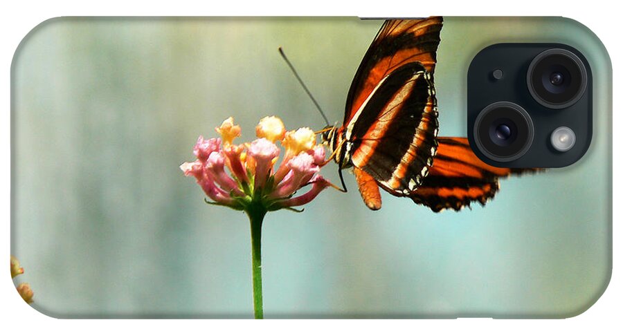 Butterfly iPhone Case featuring the photograph Beautiful Butterfly by Laurel Powell