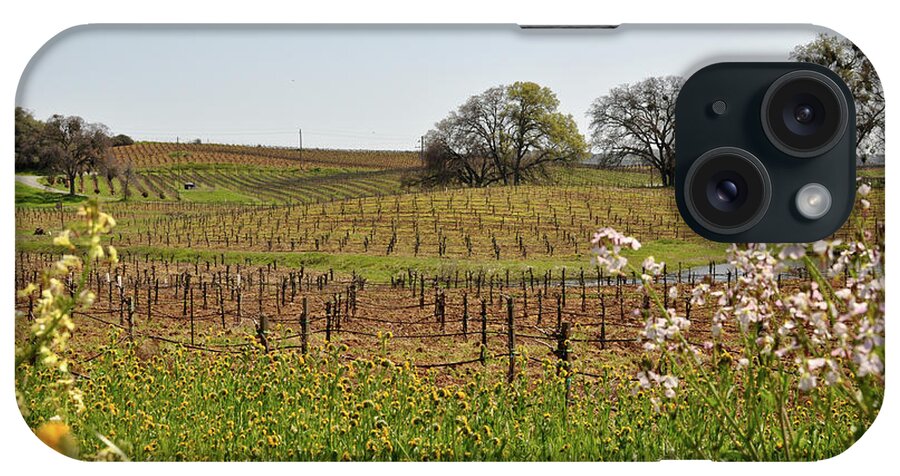 Green iPhone Case featuring the photograph Beautiful California Vineyard Framed with Flowers by Brandon Bourdages