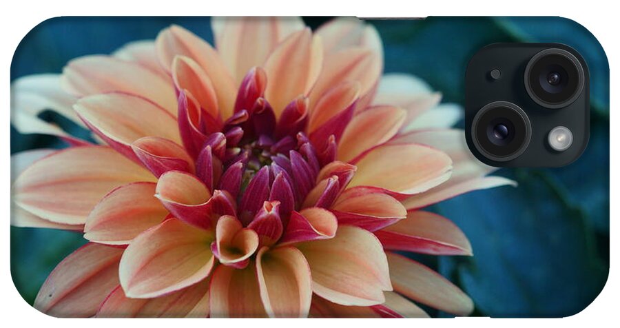 Flowers iPhone Case featuring the photograph Beautiful Dahlia 4 by Dimitry Papkov