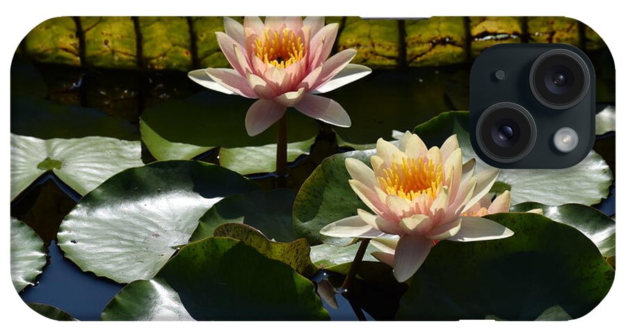 Lily iPhone Case featuring the photograph Beautiful Dainties by Deborah Crew-Johnson