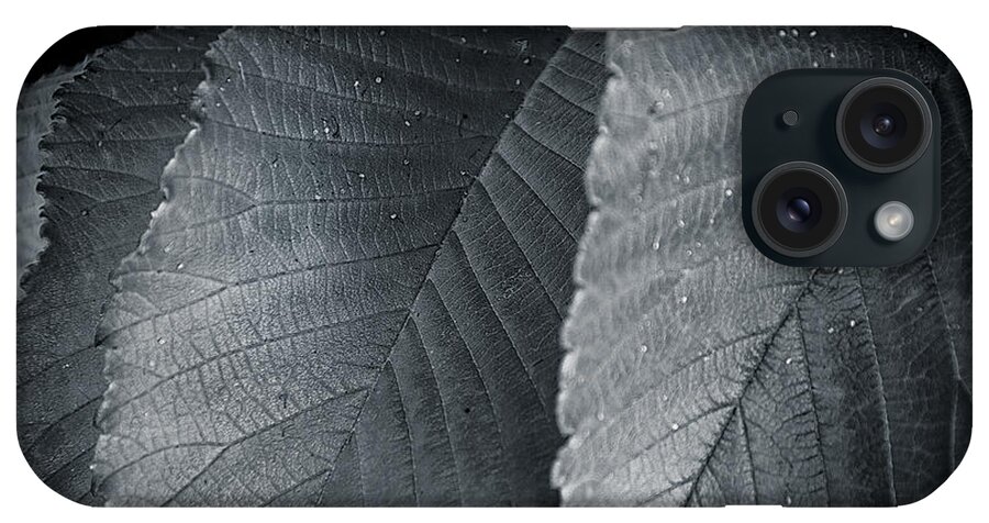 Detail iPhone Case featuring the photograph Beautiful Detail by Andy Smetzer